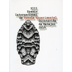 XIII Premio Internacional de Poesía Experimental